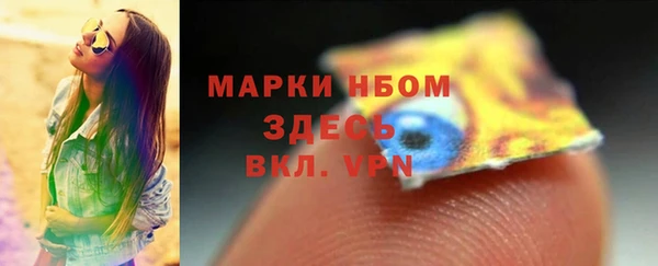 дживик Семилуки
