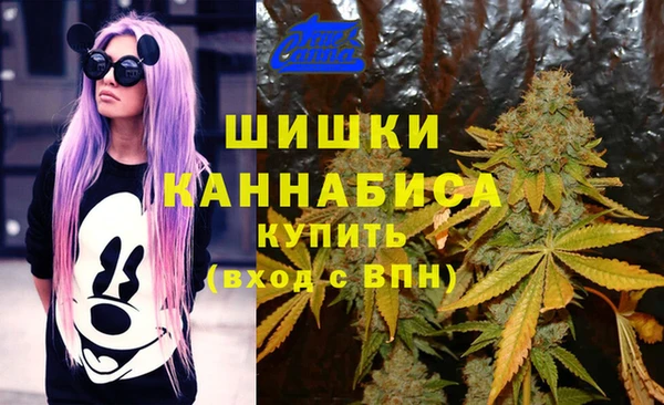 дживик Семилуки