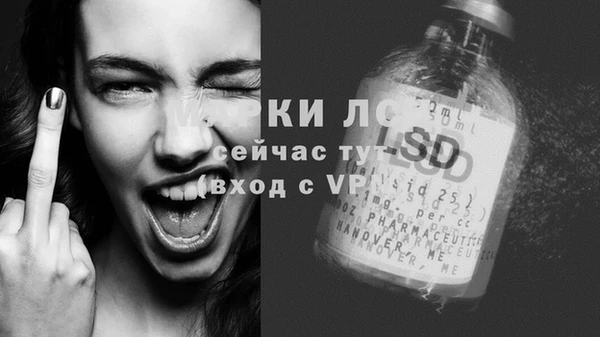 дживик Семилуки